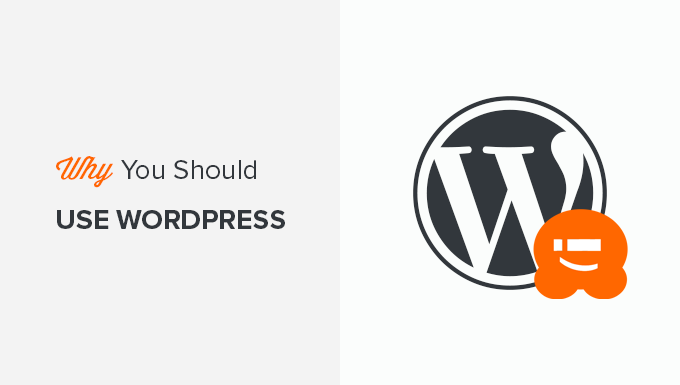 Choosing whether to use WordPress for your Business website
